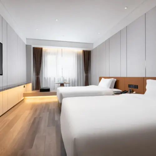 Elegant Serene Twin Room