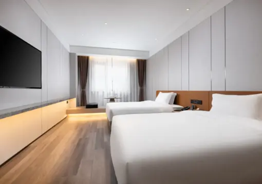 Elegant Serene Twin Room