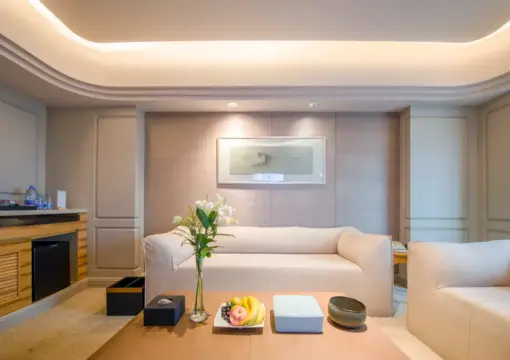 Suite – 1-Room, City-View (2 Beds) (1 Living Room, Bathtub, Sofa)