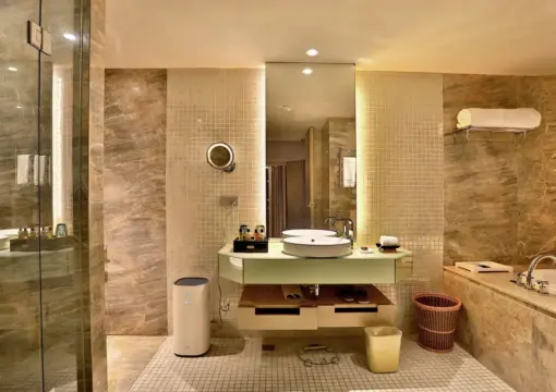 Suite (Bathtub)
